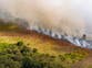 Major incident declared as huge fire rages on Dorset heath