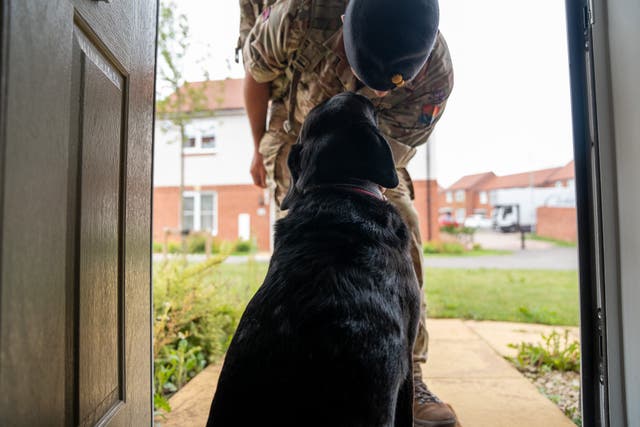 The changes to pet ownership in military housing are part of a bid to improve accommodation for service personnel (Ministry of Defence/PA)
