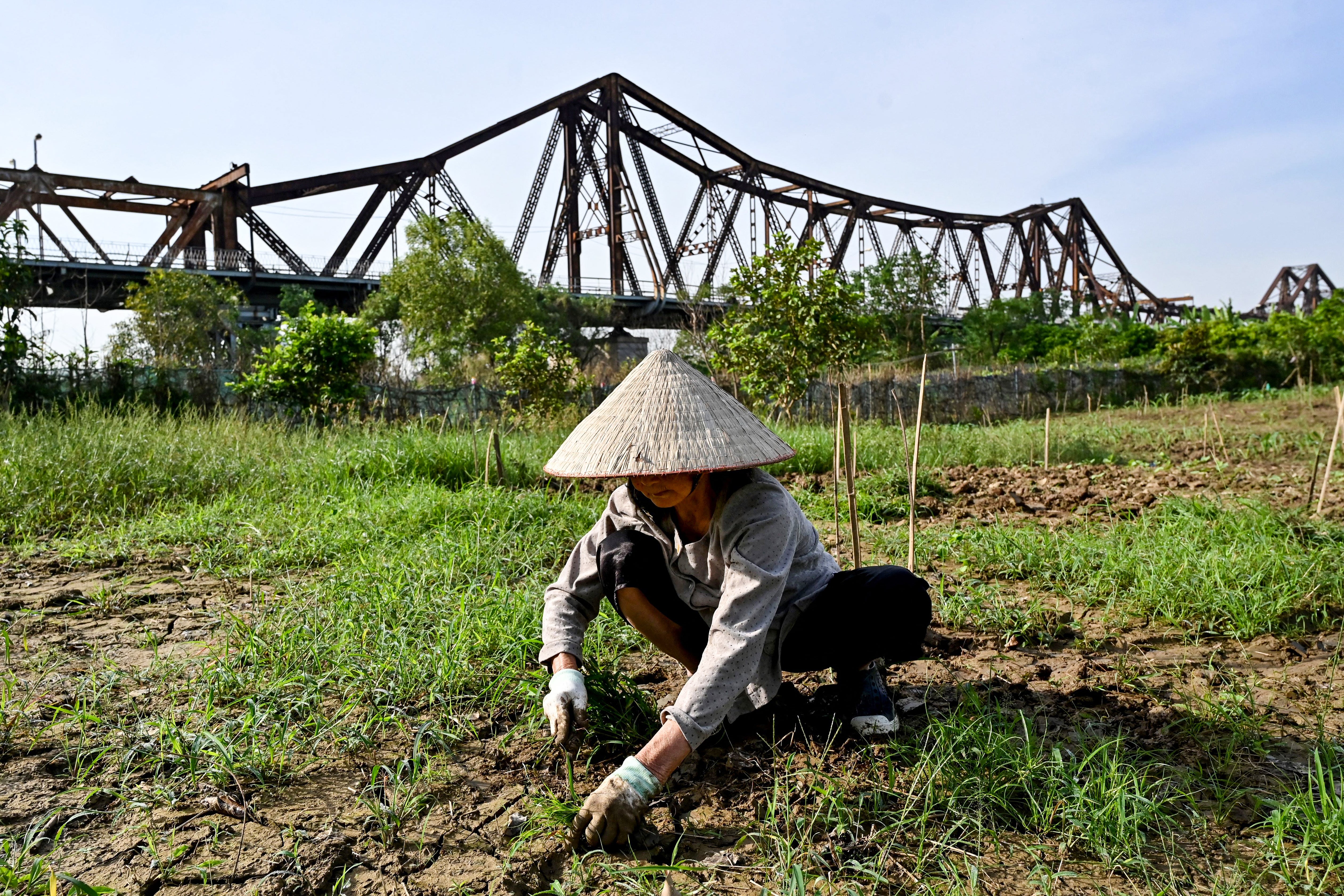 Representational; Vietnamese police have dismantled a cross‑border surrogacy network that recruited financially vulnerable women
