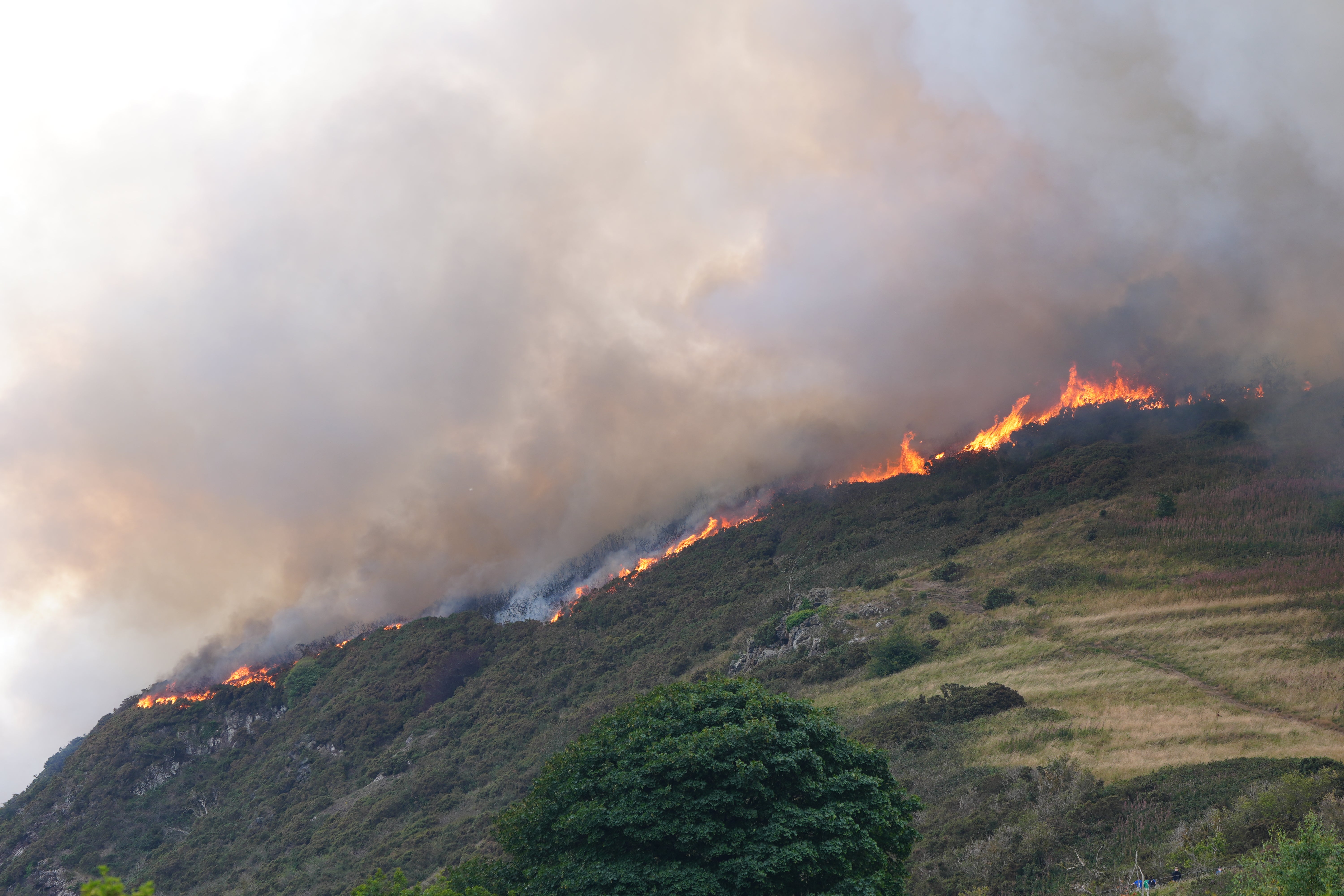 A wildfire has broken out on Arthur's Seat in Holyrood Park, Edinburgh, on Sunday