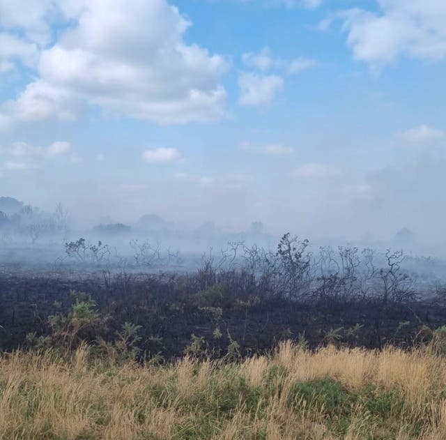 <p>A major incident was declared in Dorset</p>