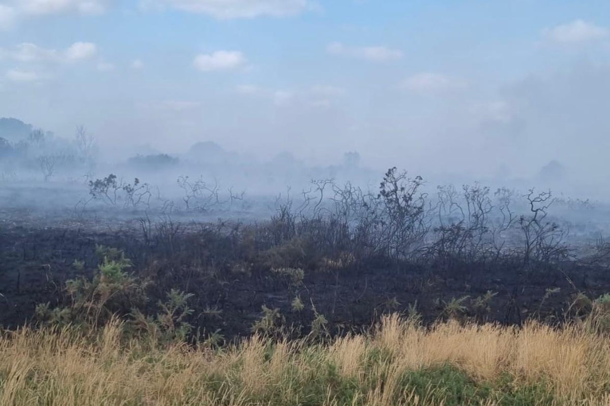 Major incident declared as huge fire rages on Dorset heath