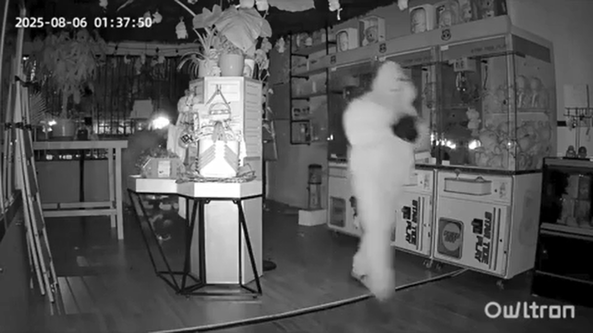 <p>Labubu thieves make off with thousands of dollars’ worth of merchandise from LA store</p>