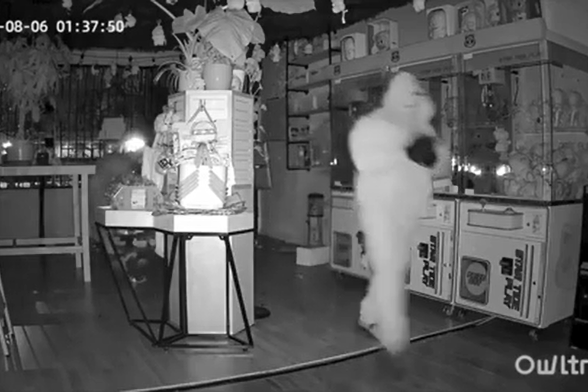 Labubu dolls worth thousands stolen in store raid