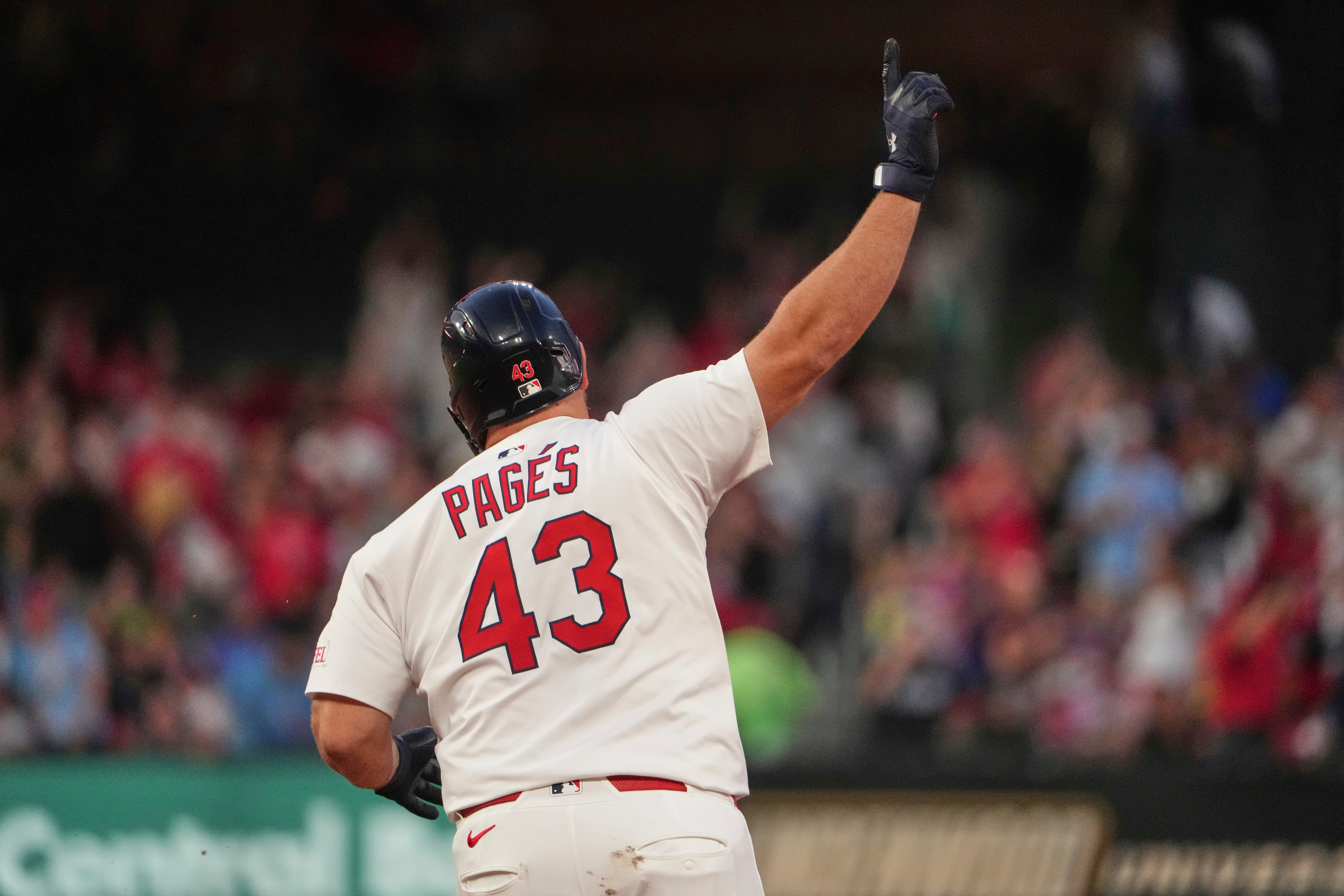 CACHORROS-CARDENALES
