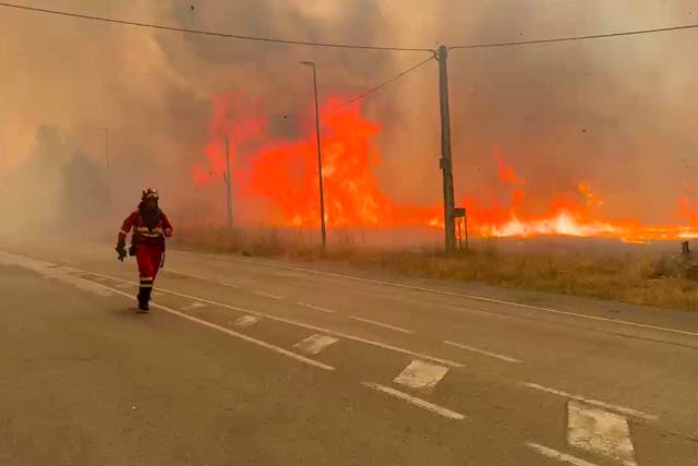 <p>El norte de España está en alerta roja por calor y Castilla y León combate incendios forestales</p>