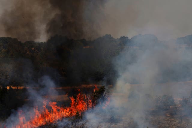 <p>Wildfires continued to burn in Congosta, in the Castile and Leon region, on Monday</p>