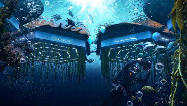 <p>How do you build an underwater city that's stable but also non-destructive to the marine environment? In a concept image, Oceanix shows how it plans to construct itself in harmony with the ocean. The Seasteading Institute discussed multiple different ideas for an ocean city — everything from plastic bottles lashed together (only usable in a protected cove) to oil rig-type structures that can survive in open seas</p>
