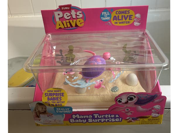 Pets Alive mama turtle and baby surprise