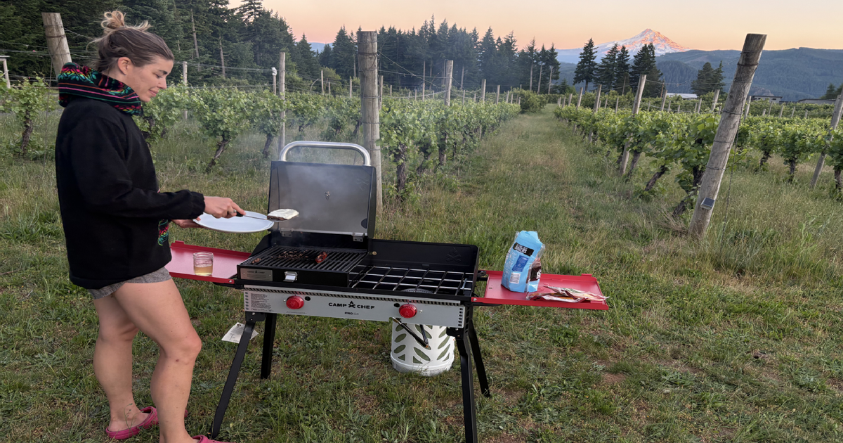 How to Choose Portable Gas Grill: Ultimate Buyer’s Guide 2025
