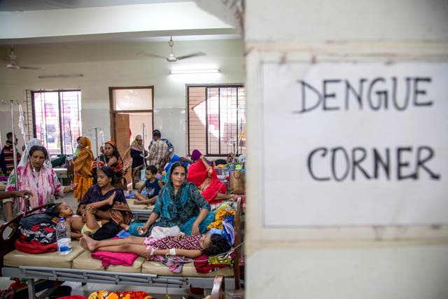 Warning as Bangladesh sees worst single-day surge in dengue cases and ...