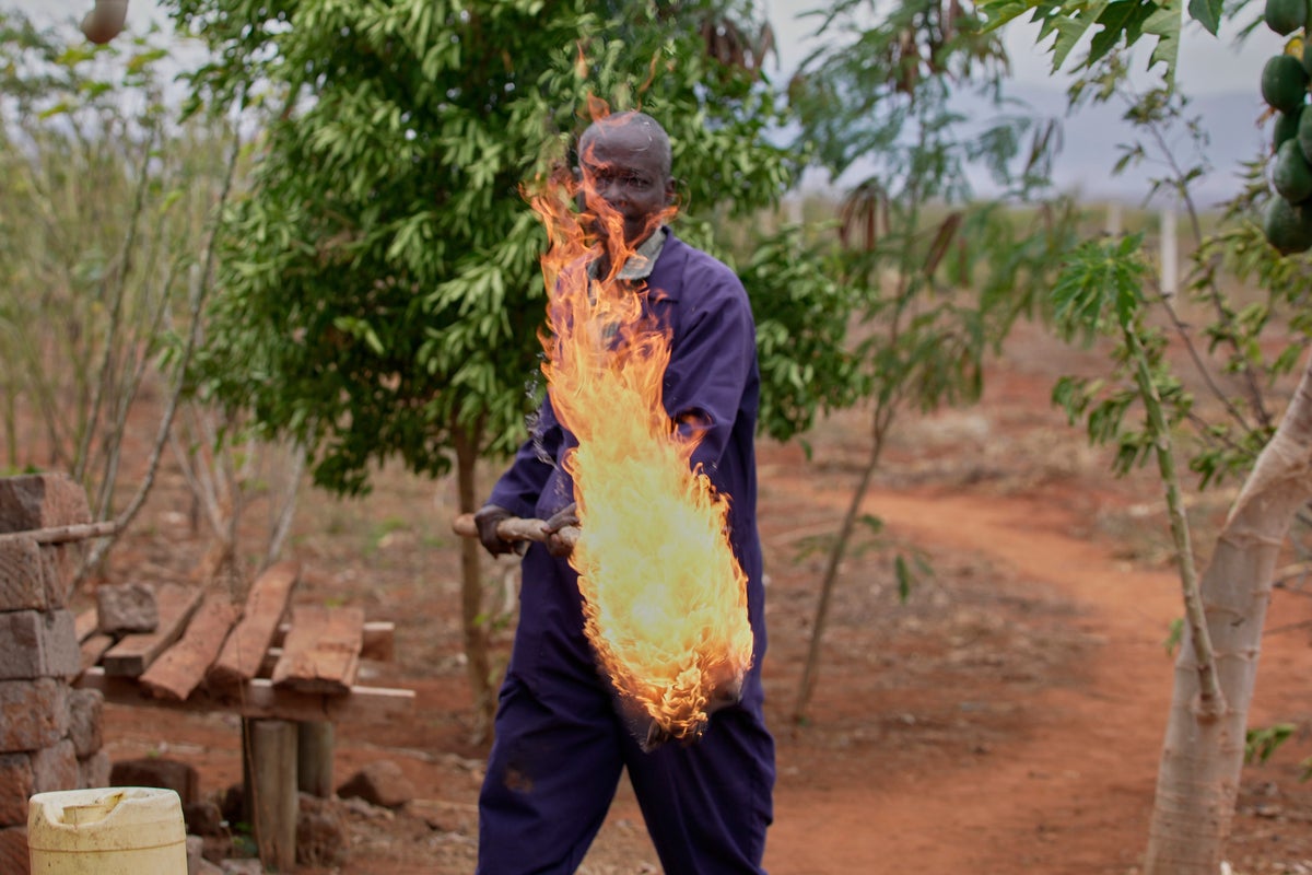 The unusual tactics used by farmers to stop marauding elephants