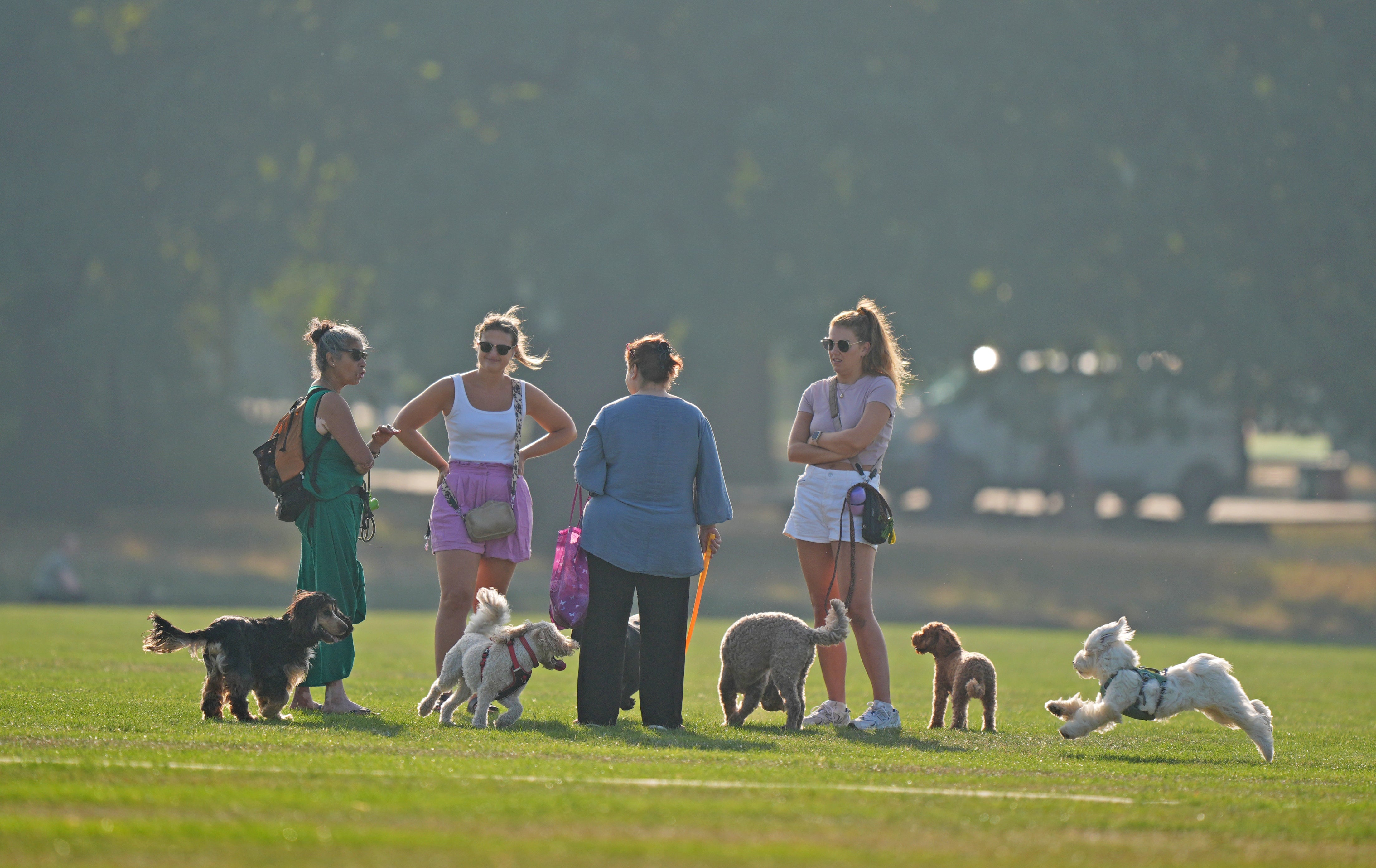 <p>People walking their dogs on Tooting Bec Common in London (Ben Whitely/PA)</p>