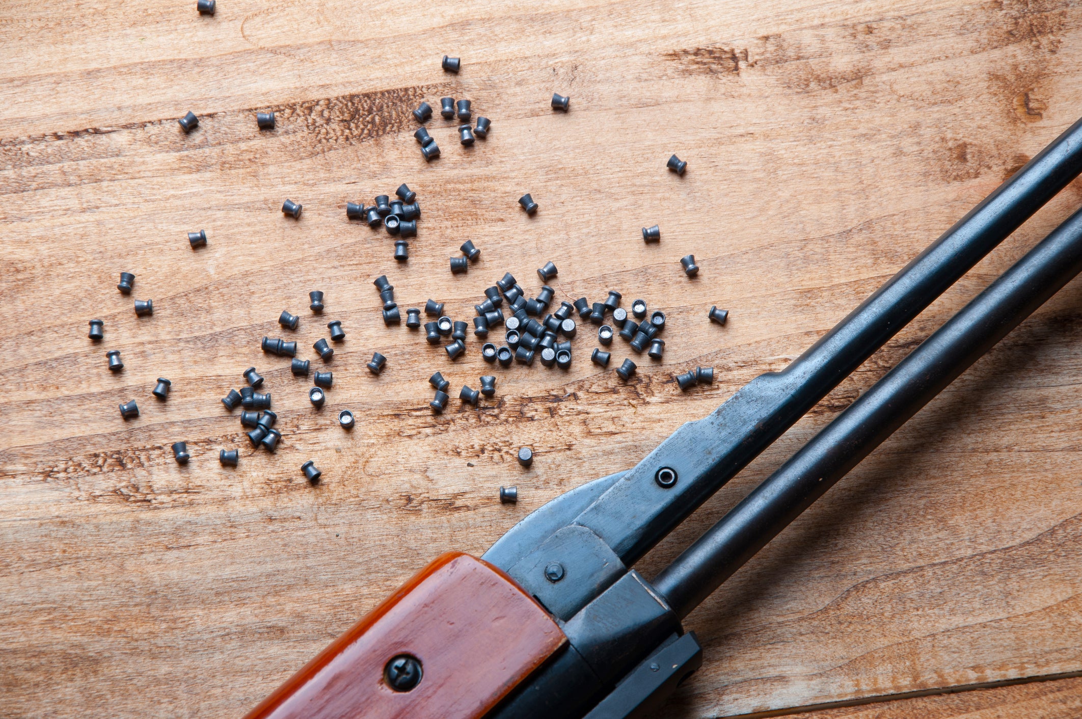 The charity’s new data reveals that between 2022 and 2024, there were 497 incidents reported to the RSPCA involving air guns, catapults and crossbows used to target all types of animals
