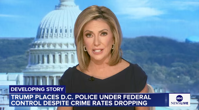 <p>ABC News anchor Kyra Phillips said she was once jumped by a ‘half-dressed’ homeless man. She highlighted the incident while reporting on President Donald Trump’s latest efforts to lower crime in Washington, D.C. </p>