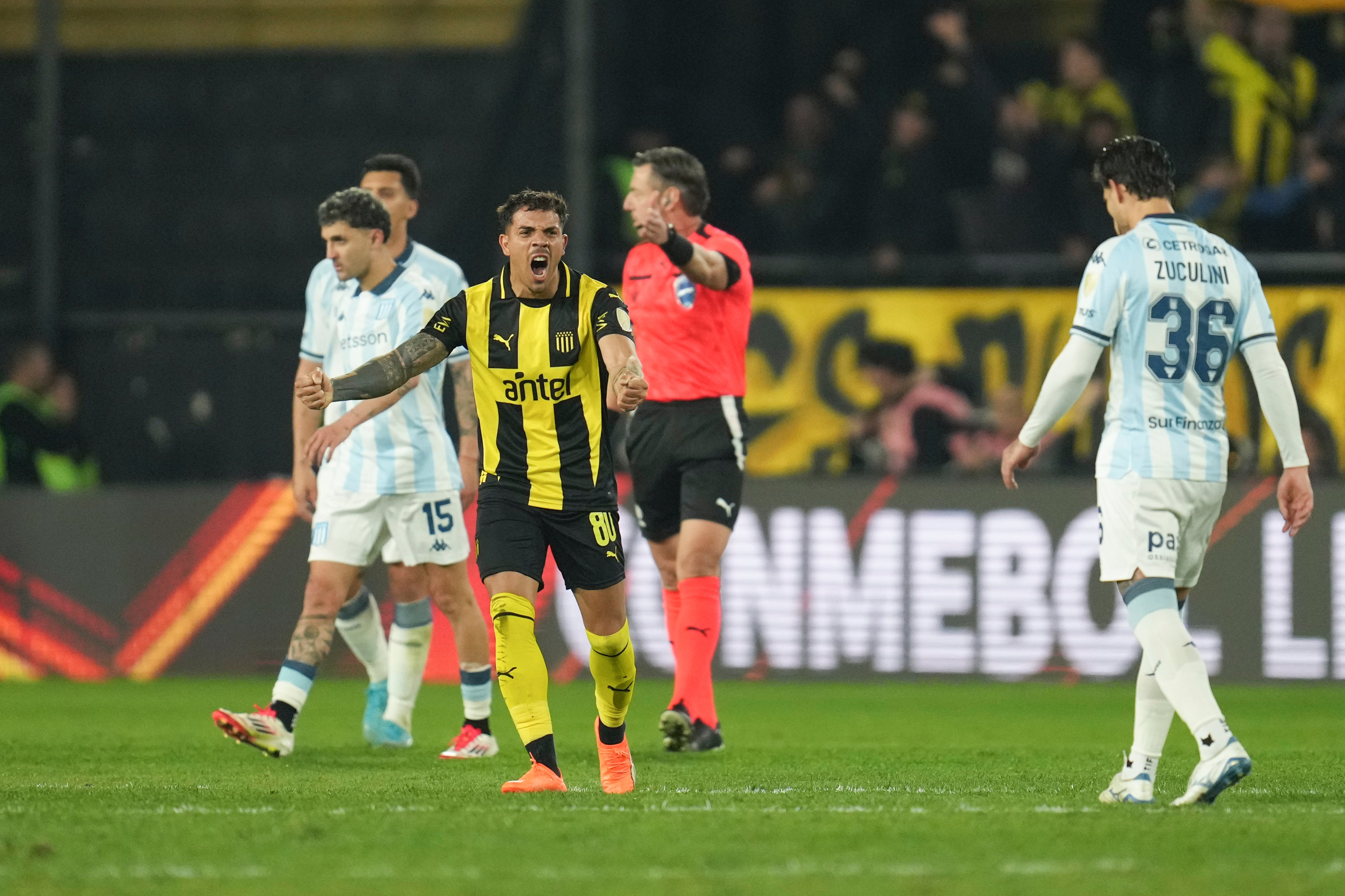 LIBERTADORES-RESUMEN