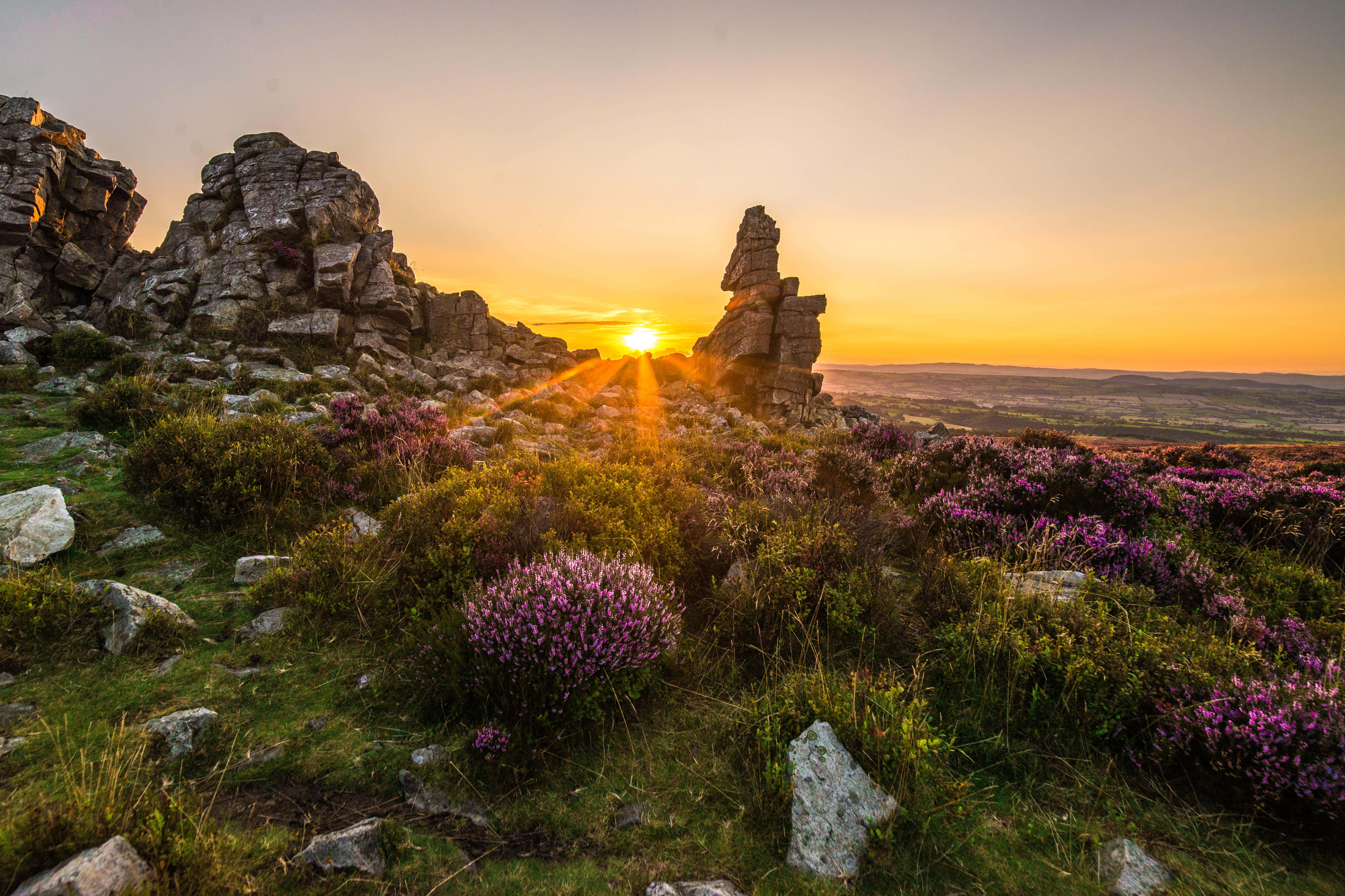 New Stiperstones Landscape national nature reserve expands protected area to more than 1,500 hectares (Alamy/PA)