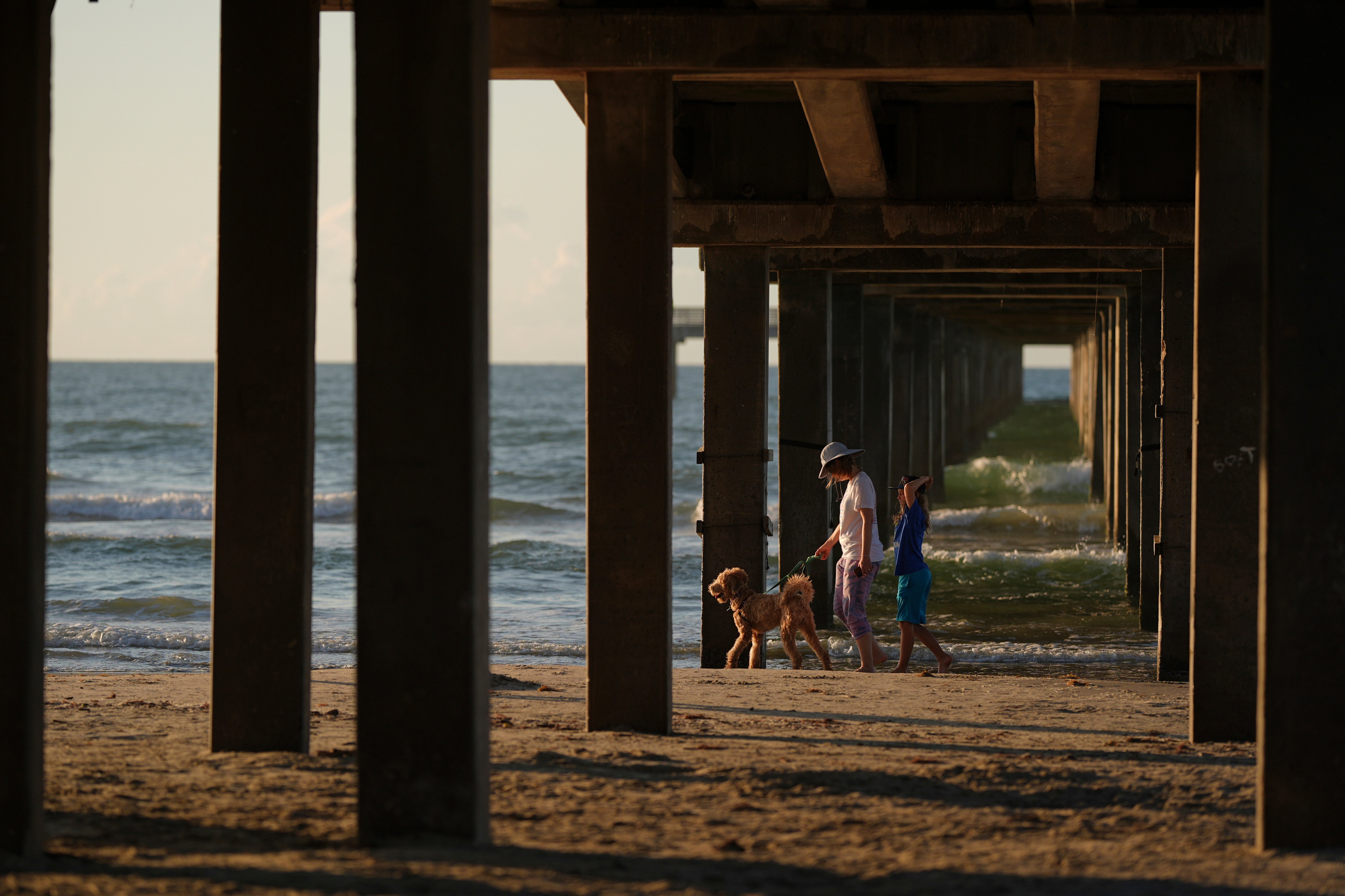 Climate Choices Wrong Choices