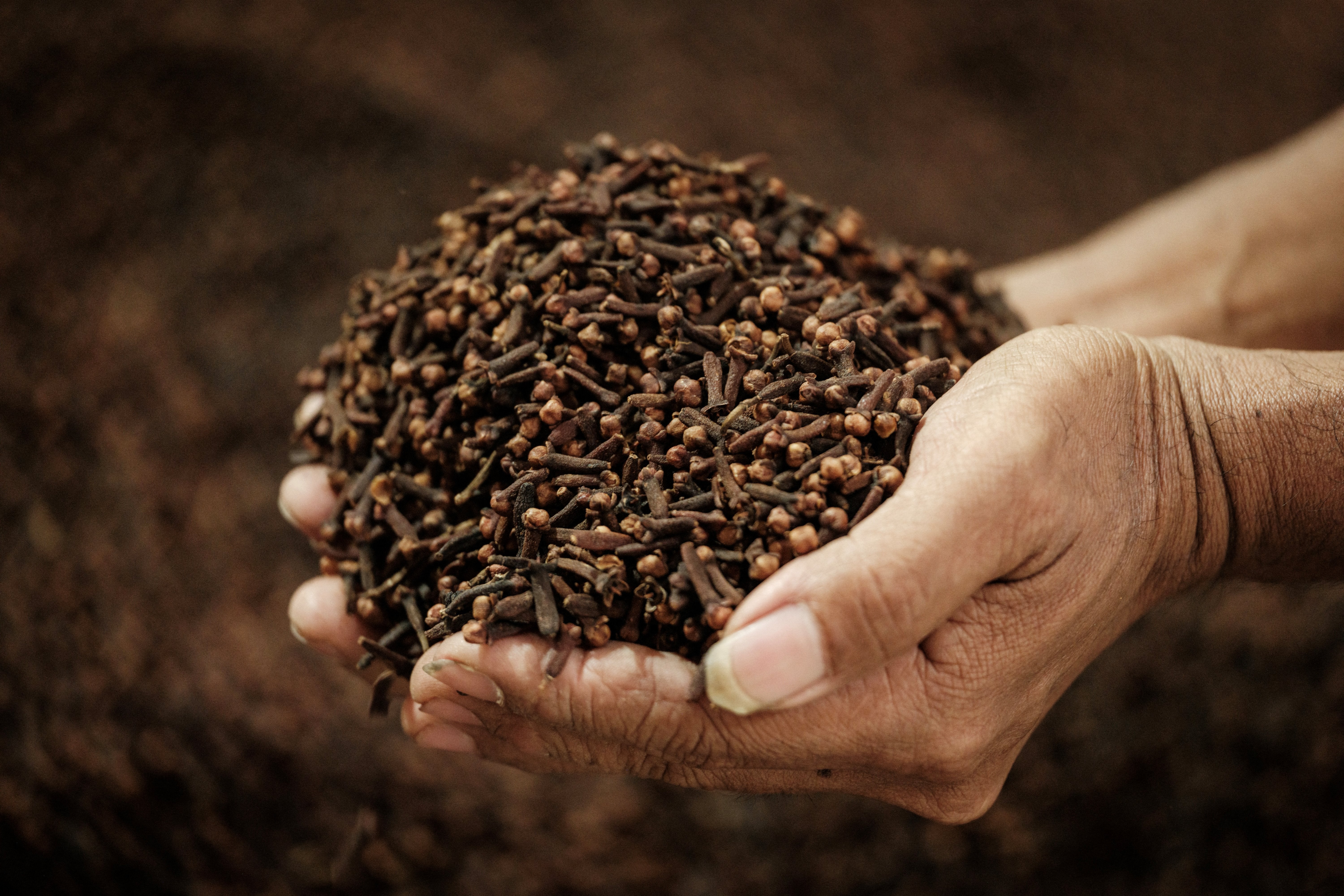 Cloves are a natural antioxidant which help protect cells