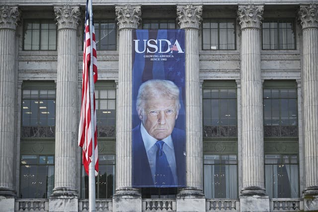 <p>The Agriculture Department spent thousands of dollars on giant banners featuring President Donald Trump’s face as it was cutting aid to schools and food banks, a new report has revealed</p>