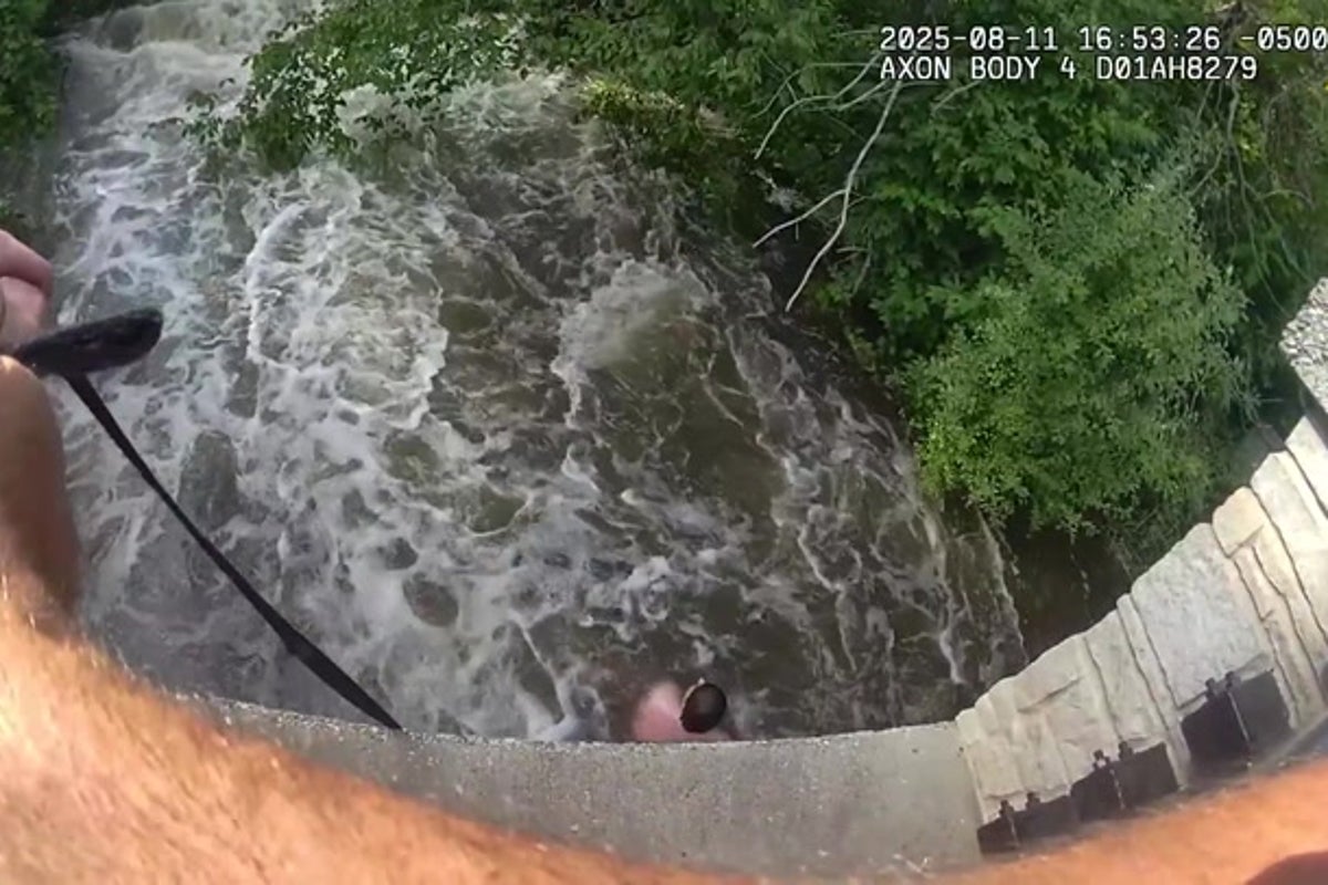 Terrifying moment person is swept down fast-flowing river after going to rescue dog
