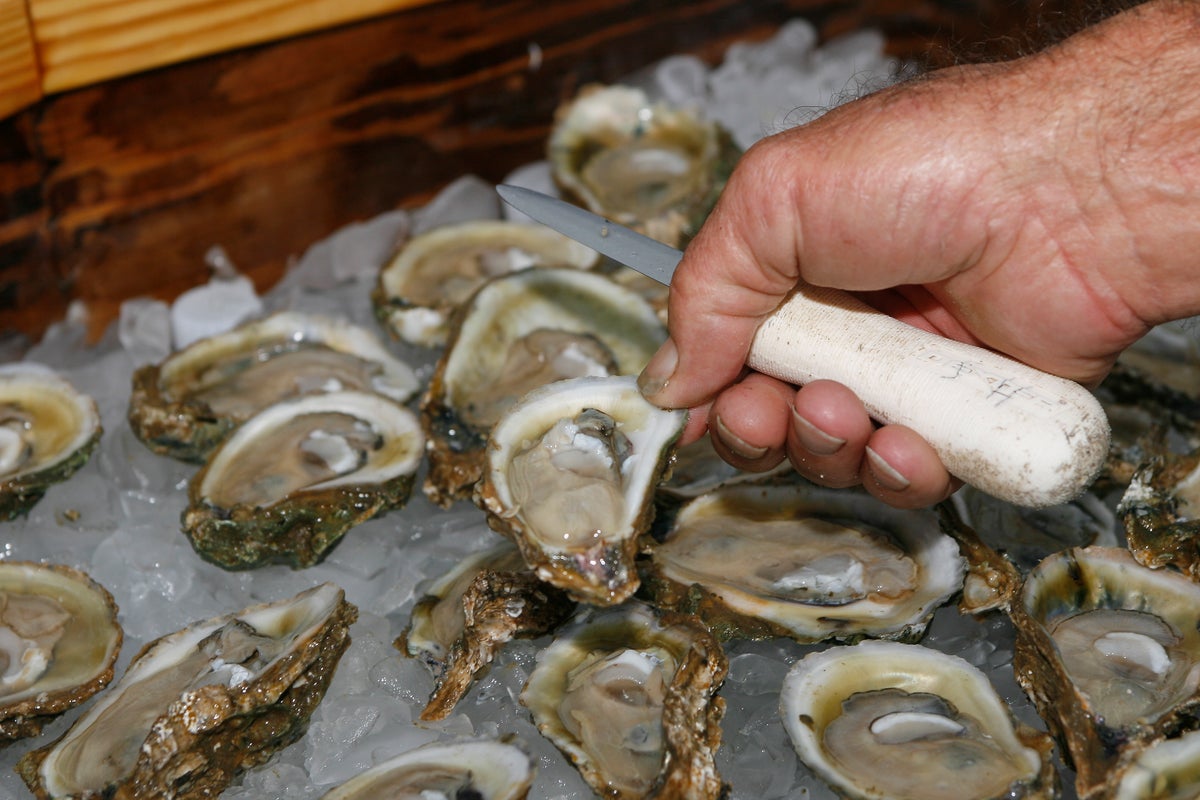 https://static.independent.co.uk/2025/08/14/20/Florida-Oysters_85623.jpg?width=1200&height=800&crop=1200:800