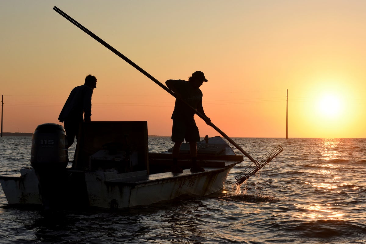 Florida wildlife officials consider reopening bay nationally known for its oysters