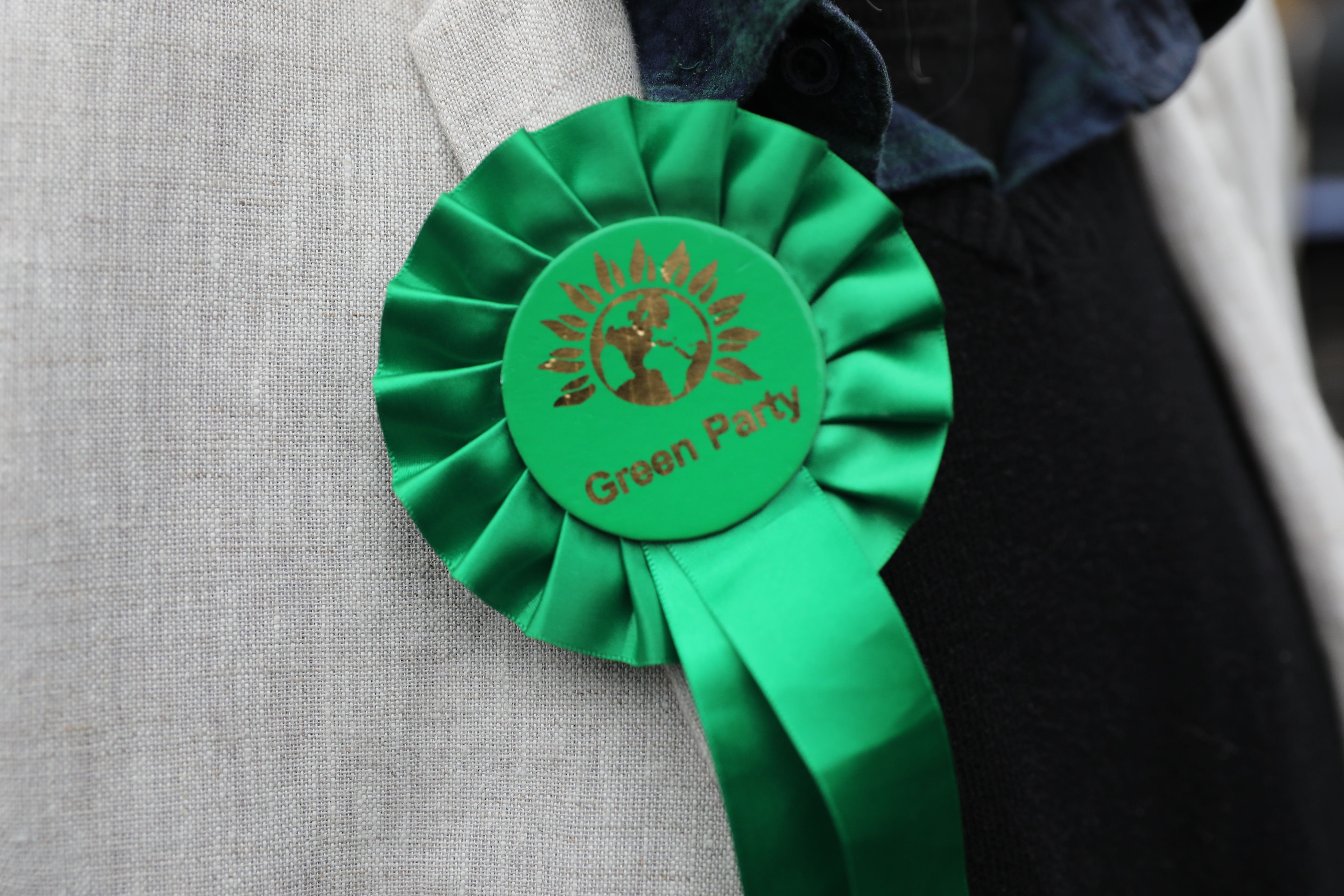 <p>Green Party leadership hopefuls are entering the final two weeks of their campaigns</p>