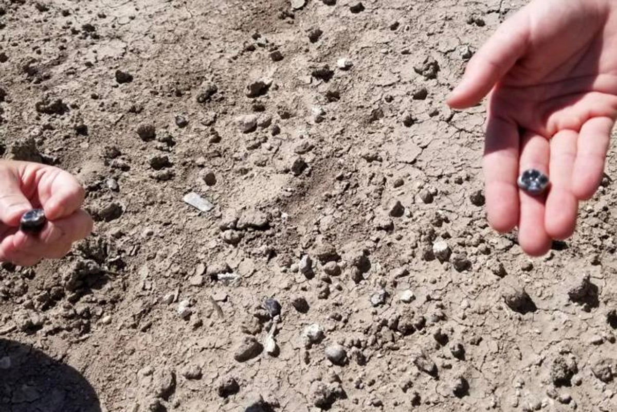 Fossil teeth lead to discovery of human species that lived alongside our oldest ancestors