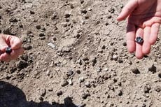 Fossil teeth lead to discovery of human species that lived alongside our oldest ancestors