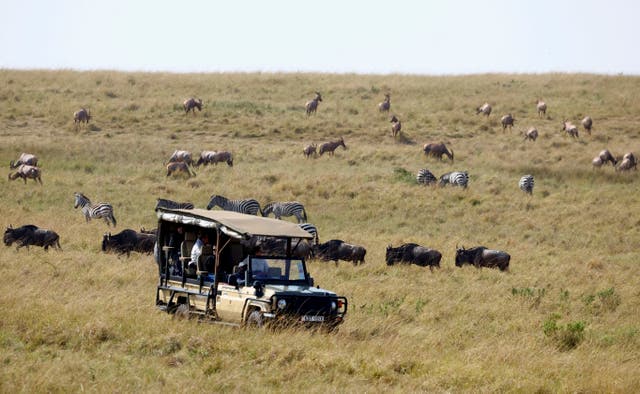 <p>The Ritz-Carlton opens its first safari lodge on Friday in Kenya's Maasai Mara reserve</p>