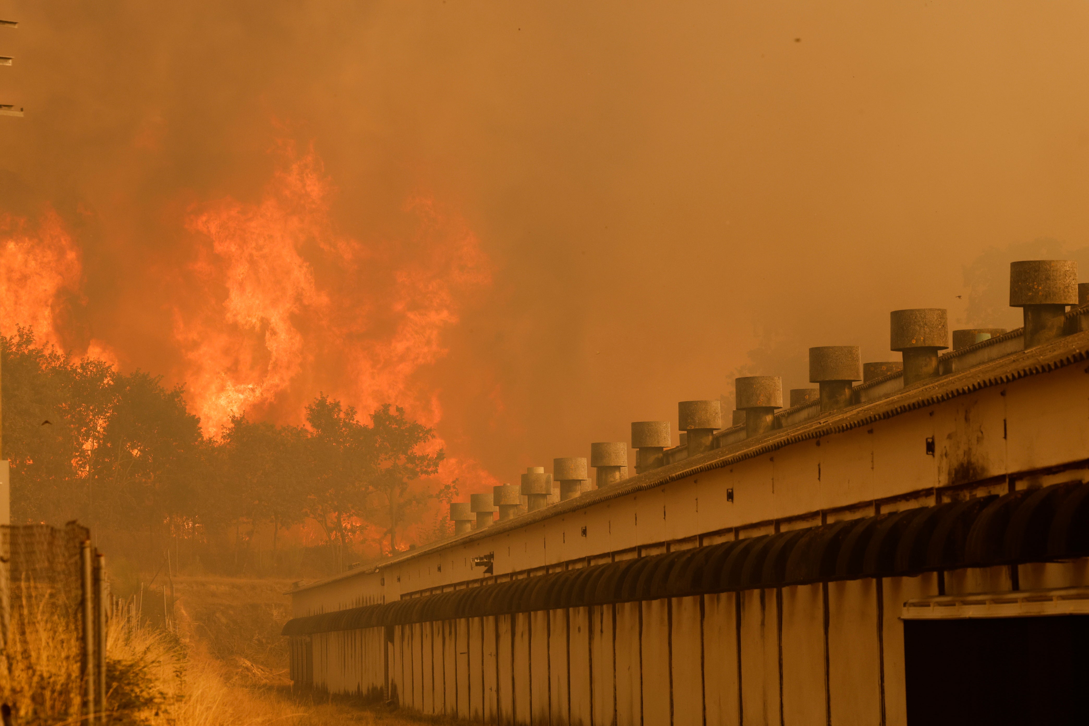 Wildfire in Santa Baia De Montes, northwestern Spain, on Thursday