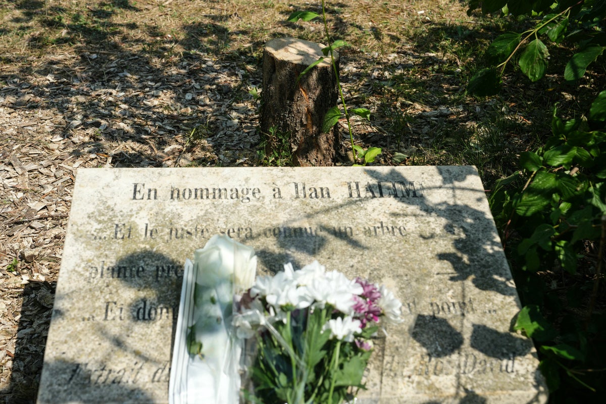 Macron condemns ‘antisemitic hatred’ after attackers chop down tree honoring murdered Jew