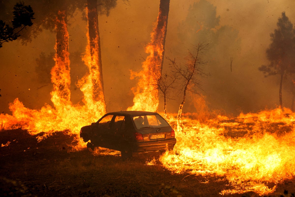 European wildfire smoke dampens UK heatwave with unusually hazy conditions