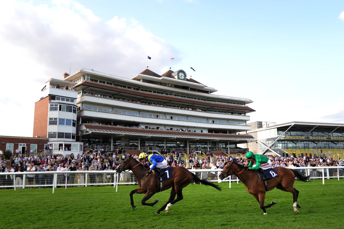 Saturday horse racing tips: Free tips and odds for Newbury and Ripon