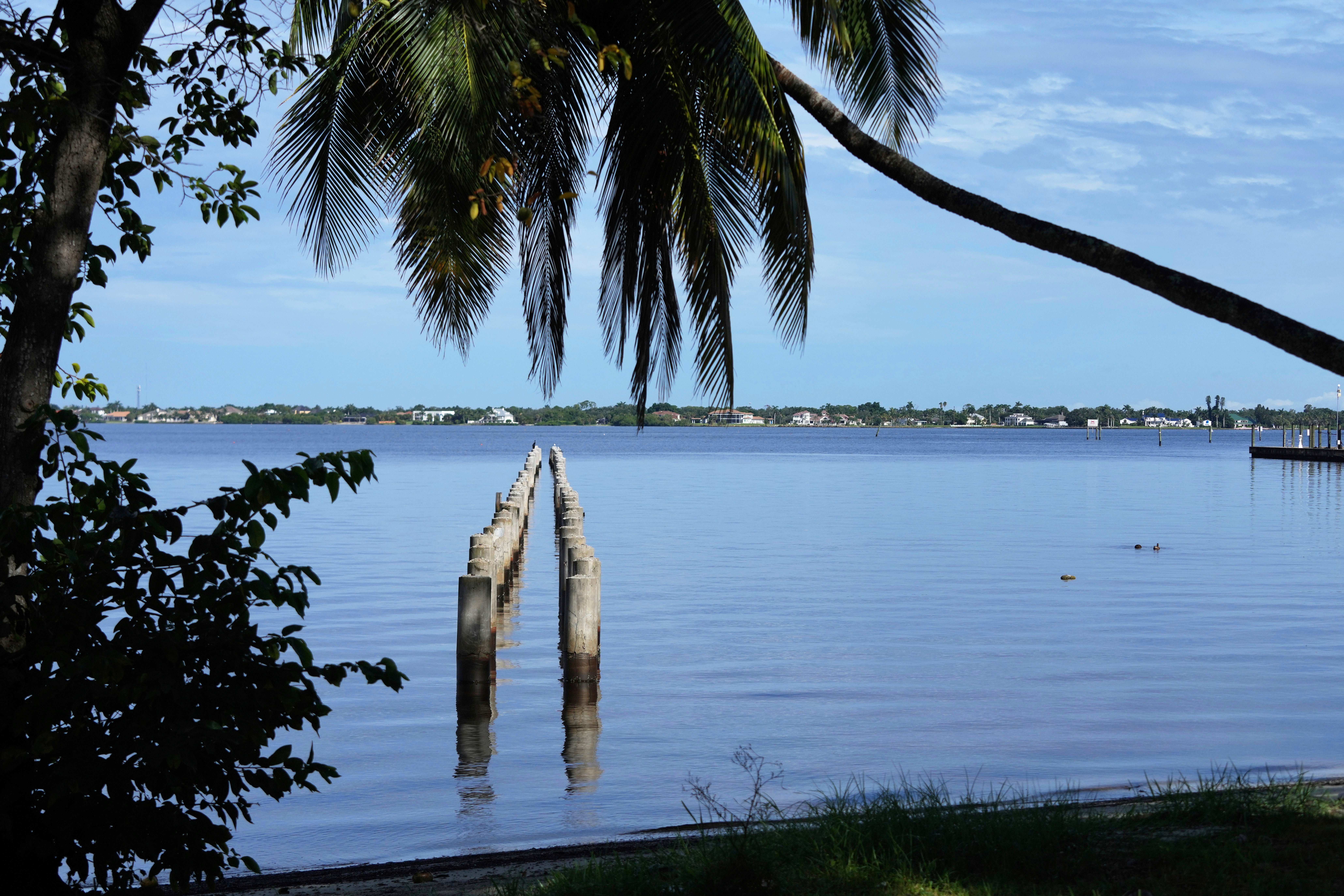 Edison Estate Florida