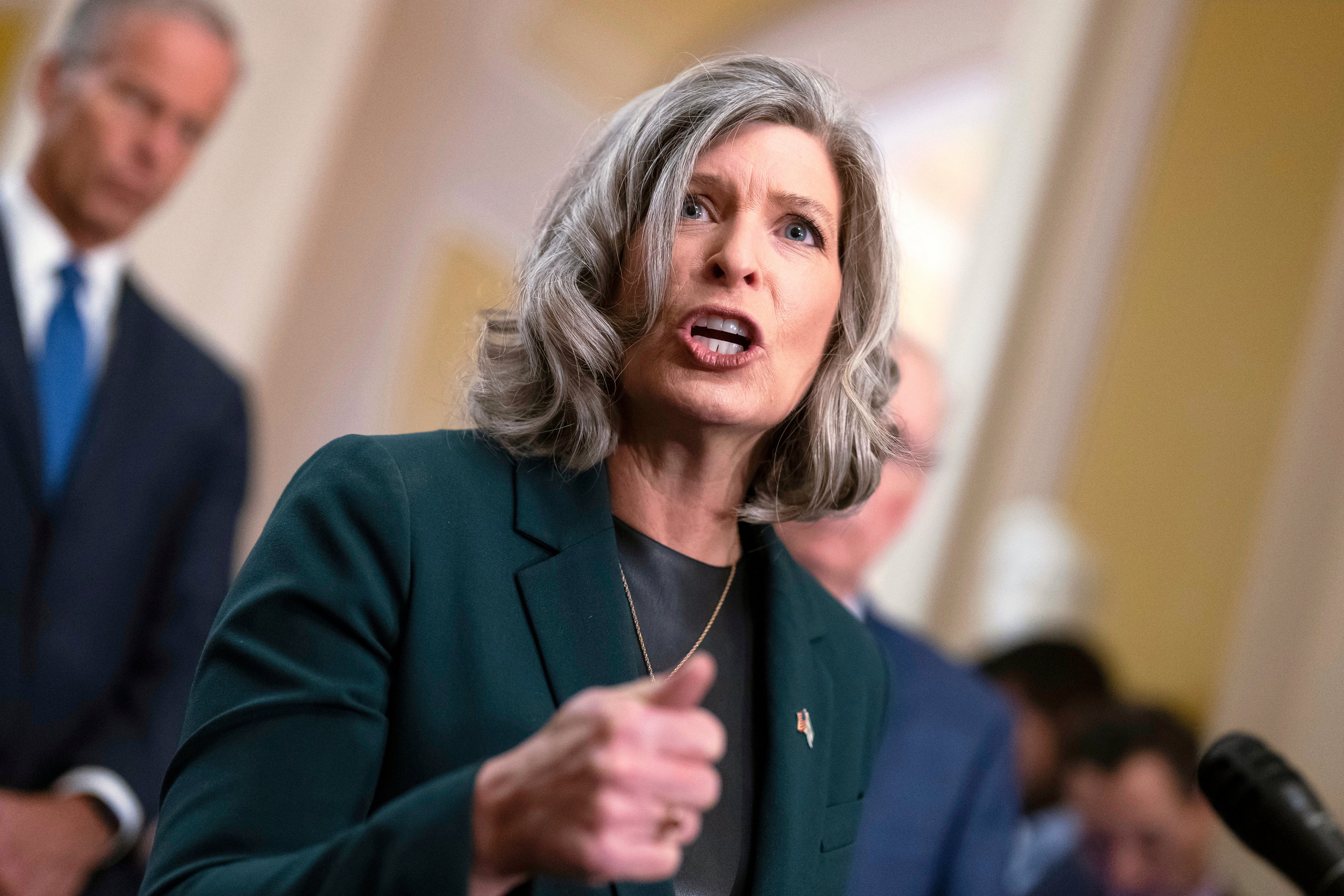 Iowa Sen. Joni Ernst announced on Friday that she would not seek another term