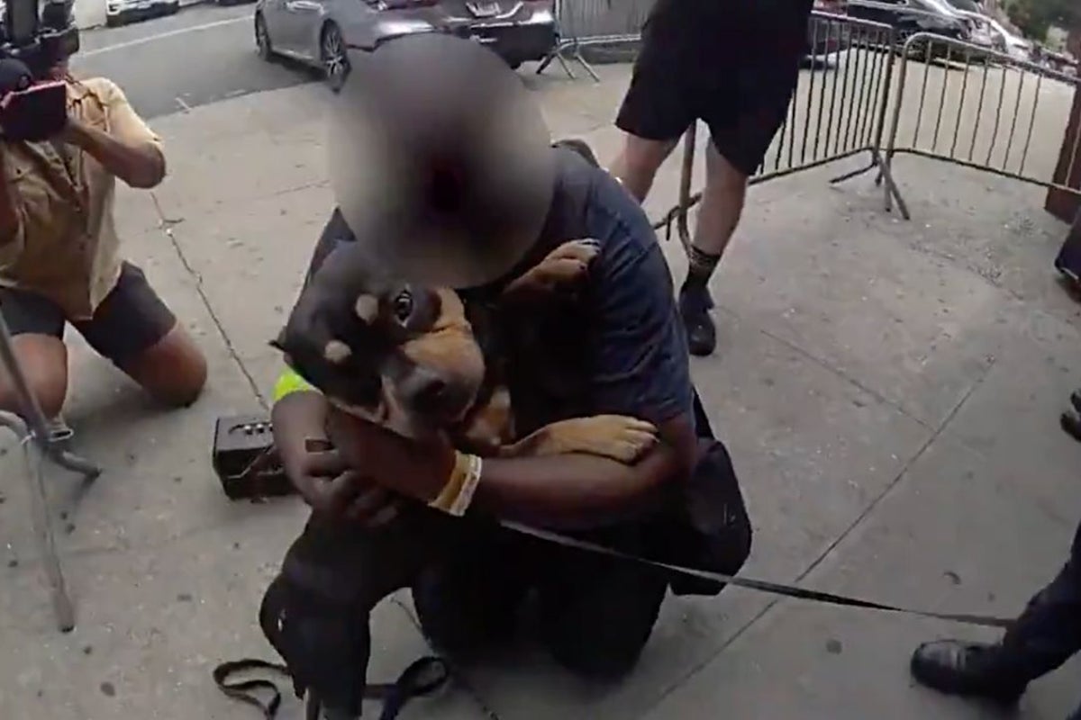 Moment stolen dog is reunited with owner after subway theft