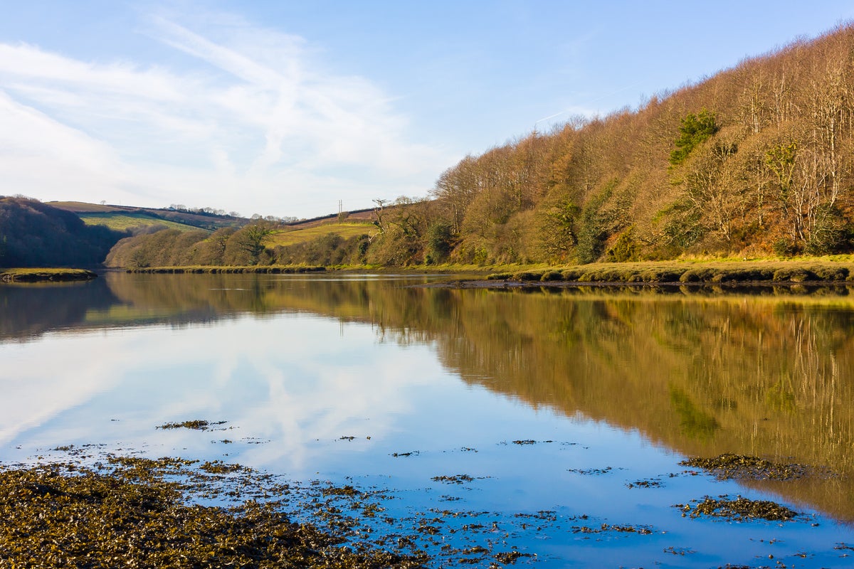 Girl, 11, dies after being pulled from water in Cornwall
