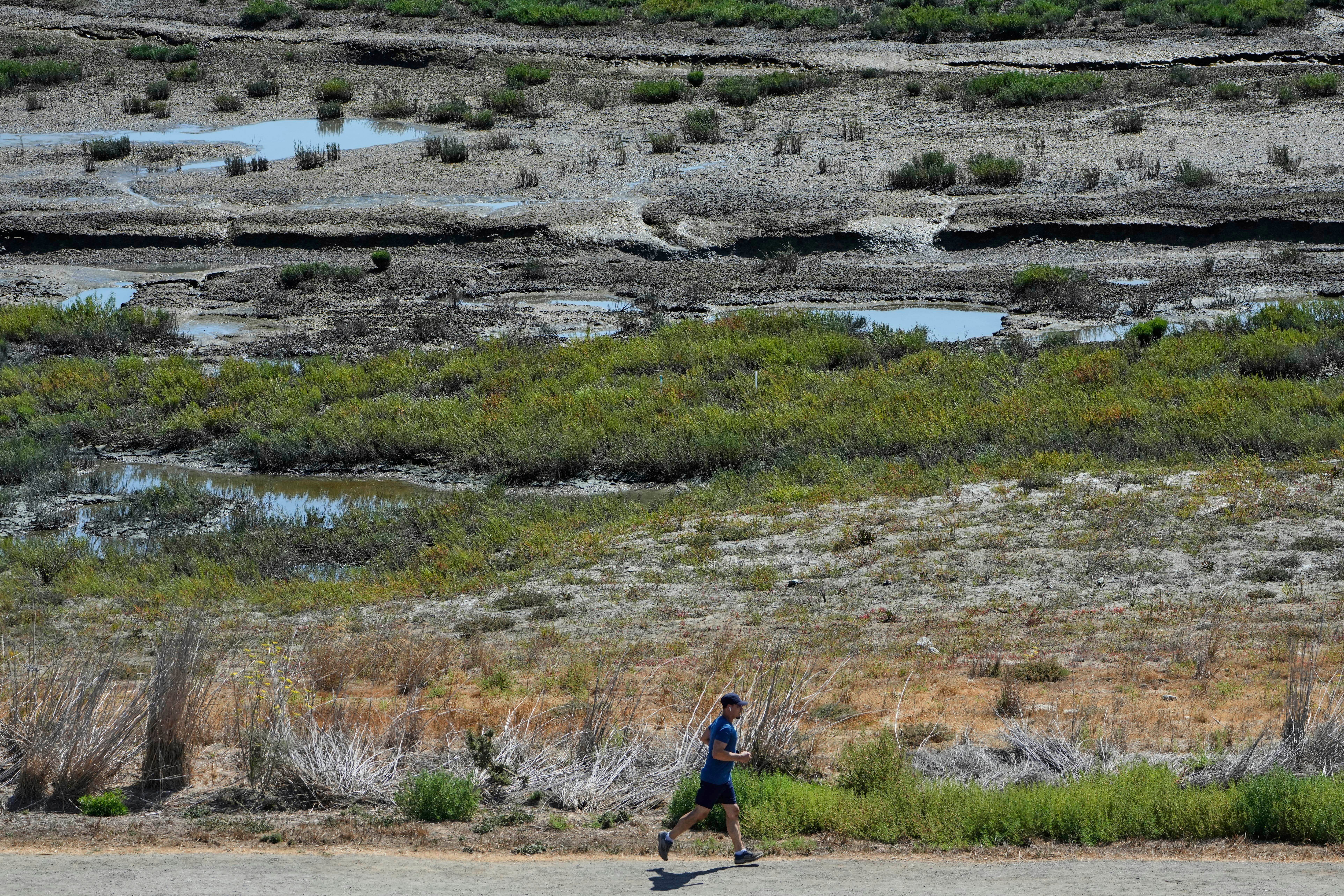 Climate Coastal Restoration