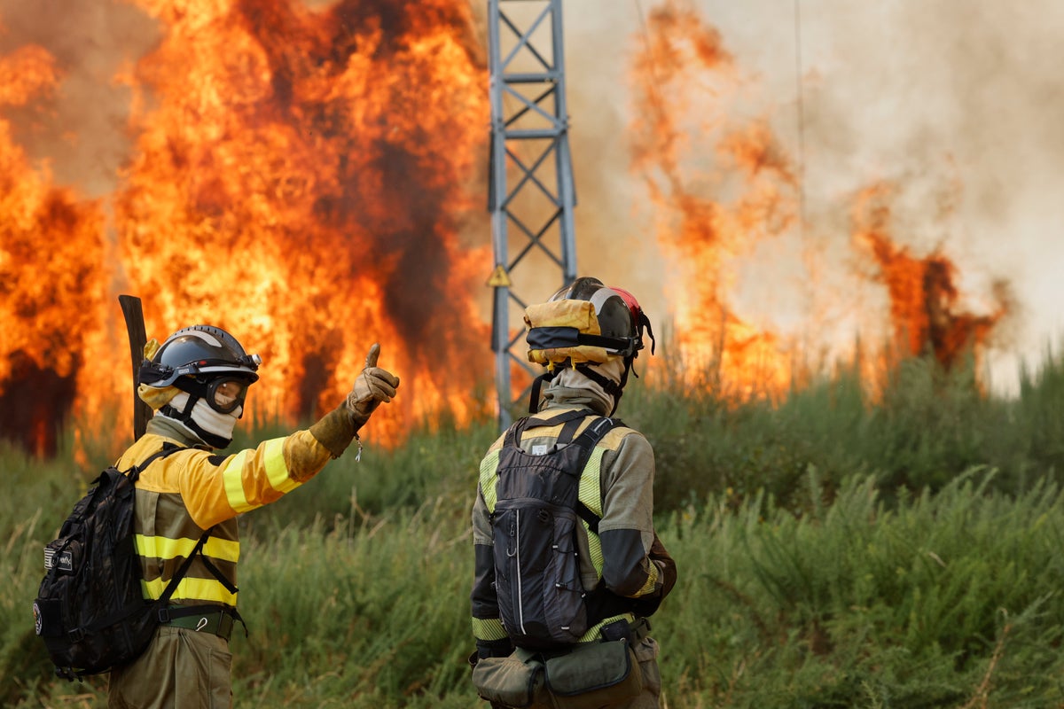 Spain deploys 500 more troops to battle wildfires during extended heatwave  | The Independent