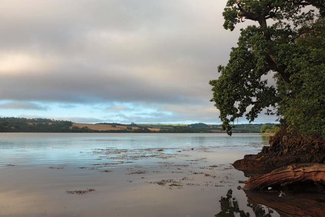<p>The girl died in the River Lynher at village of Wacker Quay in Cornwall (Alamy/PA)</p>