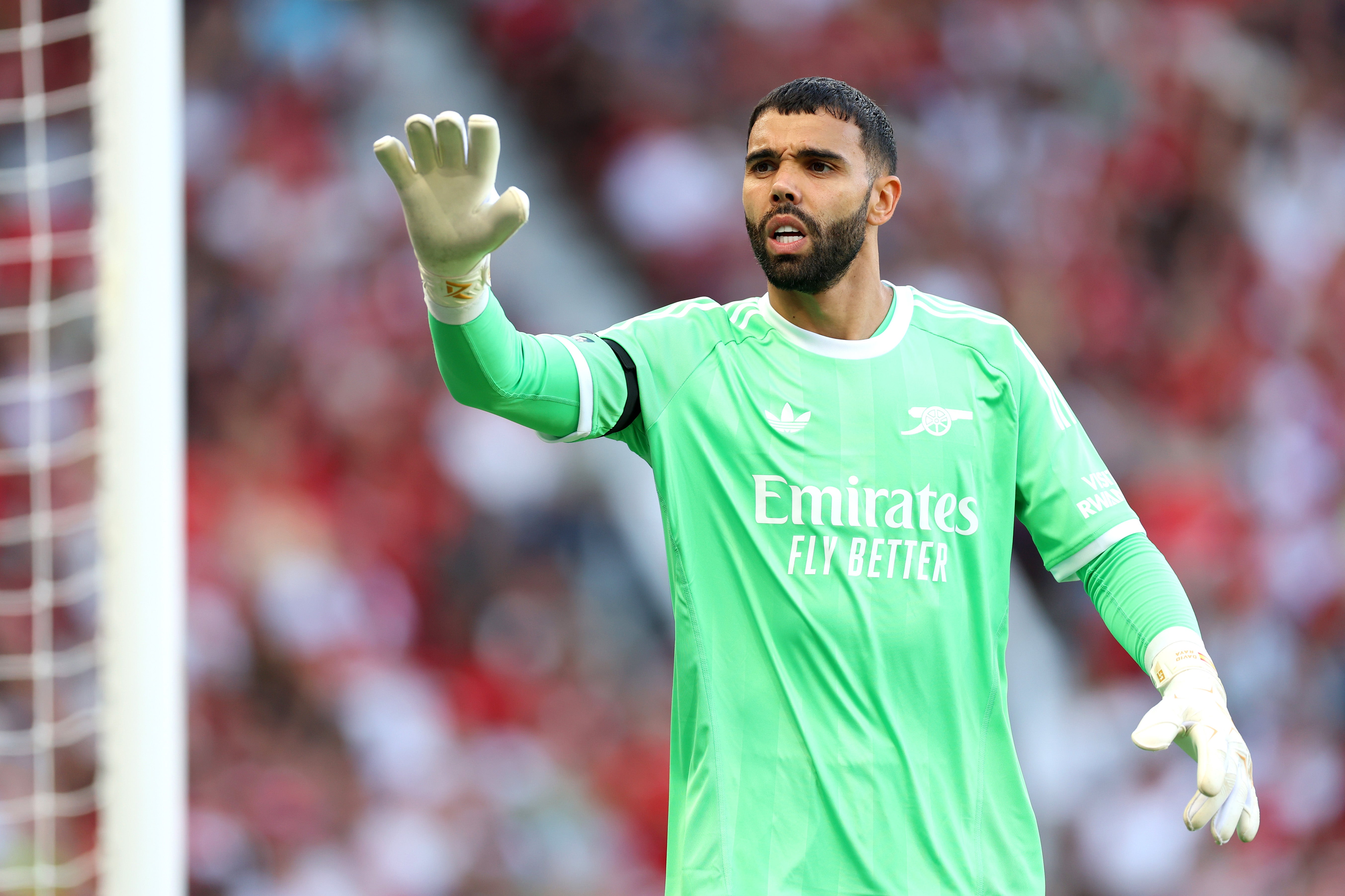 Raya fez sete defesas, a maior parte de qualquer goleiro da Premier League neste fim de semana