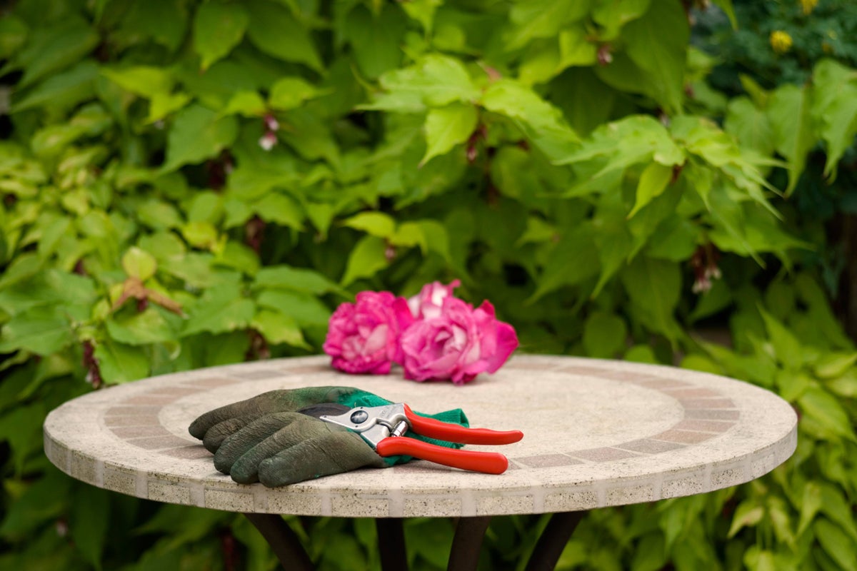 How to get your garden ready for autumn