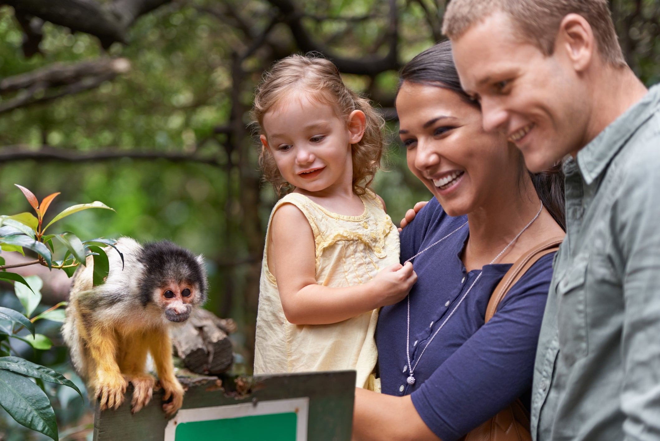 Visit the animals at London’s most immersive zoos this summer