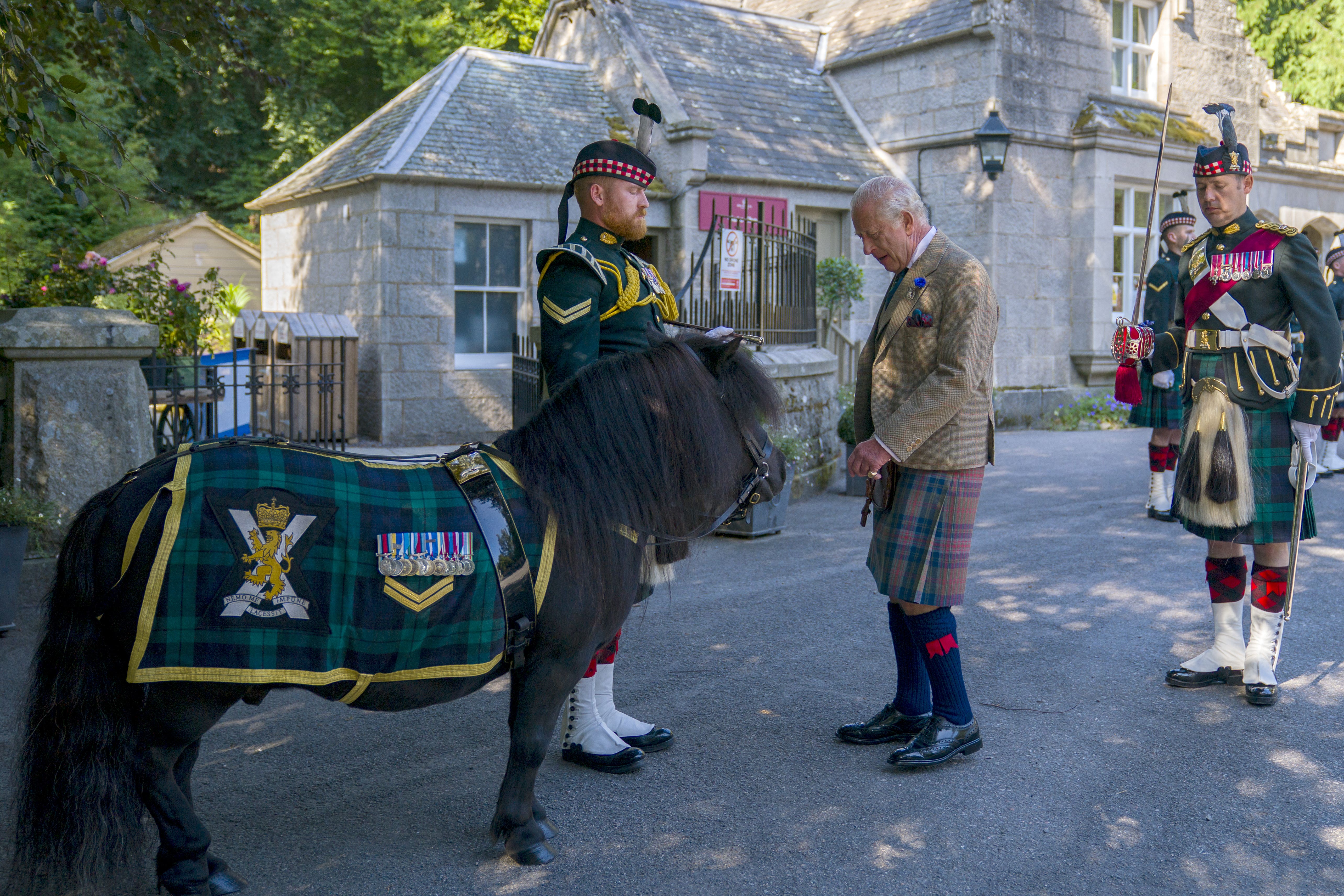 King Charles III meets Shetland pony Cpl Cruachan IV (mascot of the Royal Regiment of Scotland) (Jane Barlow/PA Wire).