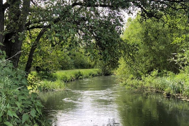 A view of the River Lee (Feargal Sharkey/Amwell Magna Fishery/PA)
