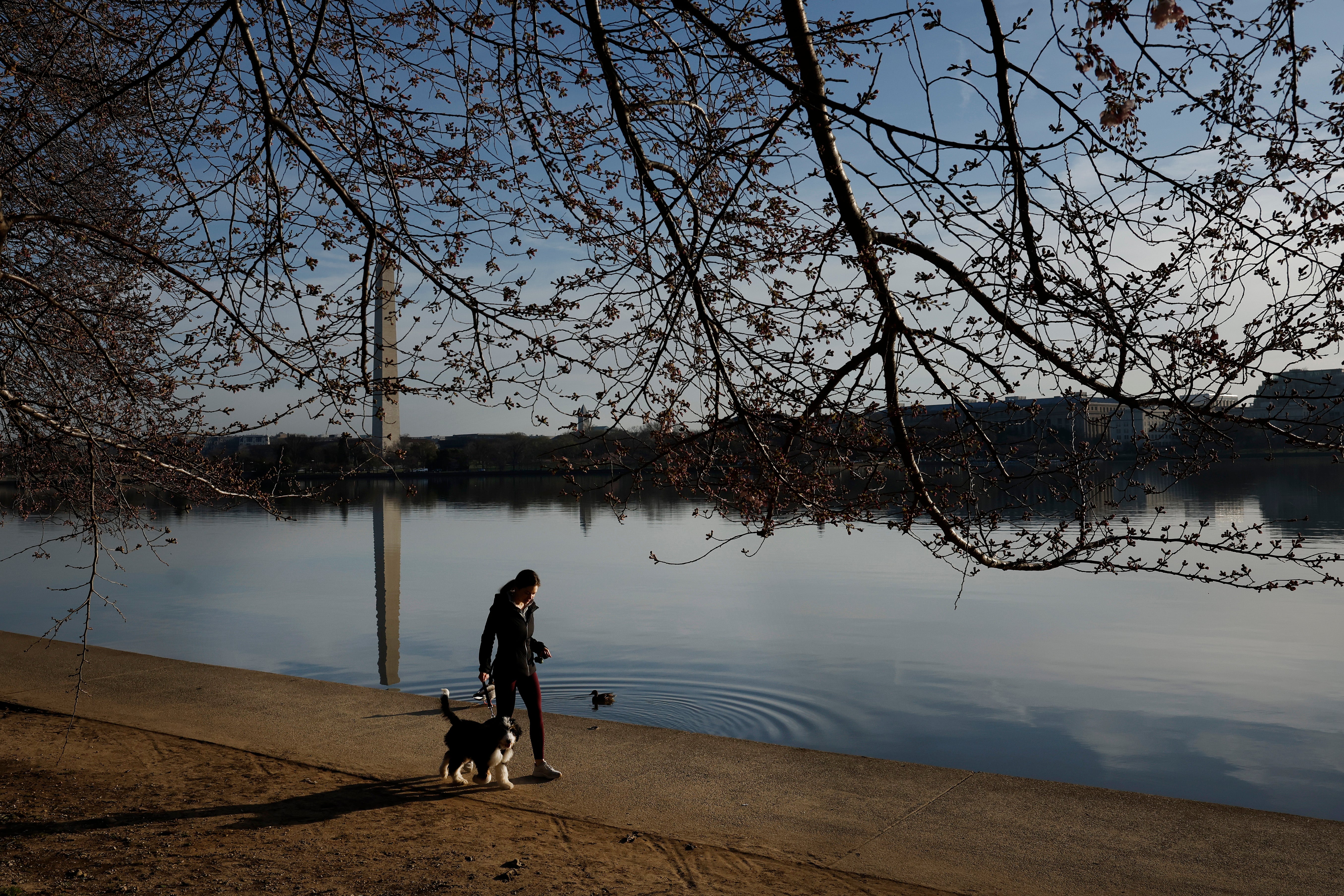 Walking is just good for you. It can help protect your immune and heart health, as well as protect you from disease