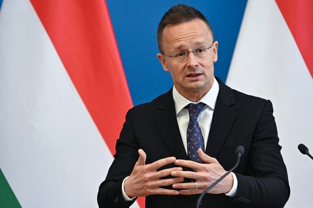 <p>Hungarian Foreign and Trade Minister Peter Szijjarto</p>