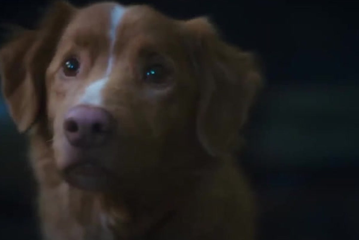 First trailer released for horror film told from a dog’s point of view
